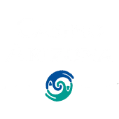 Visit Casino Arizona
