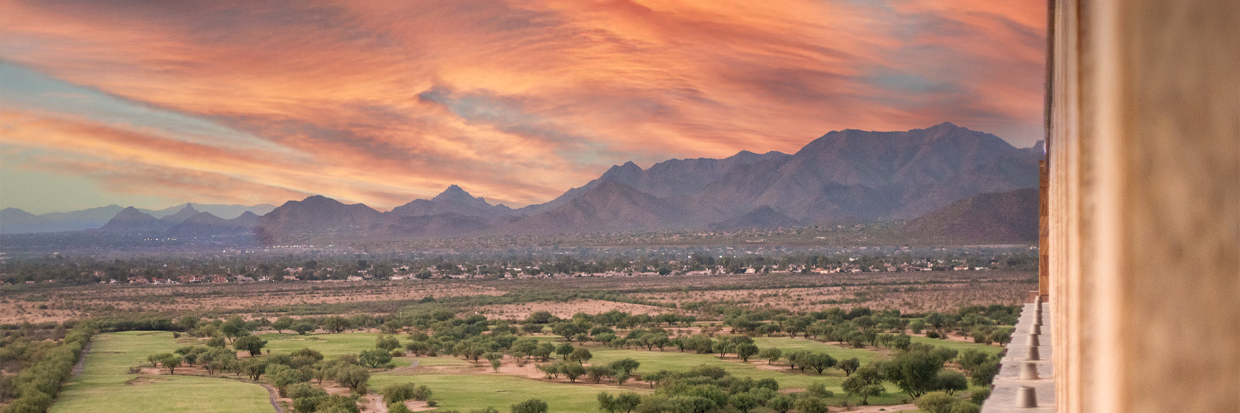 standard-hero-download our app